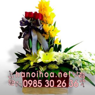 Hoa chúc mừng CM03